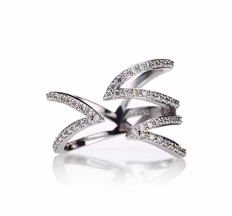 Stella Winged Ring by Paige Novick