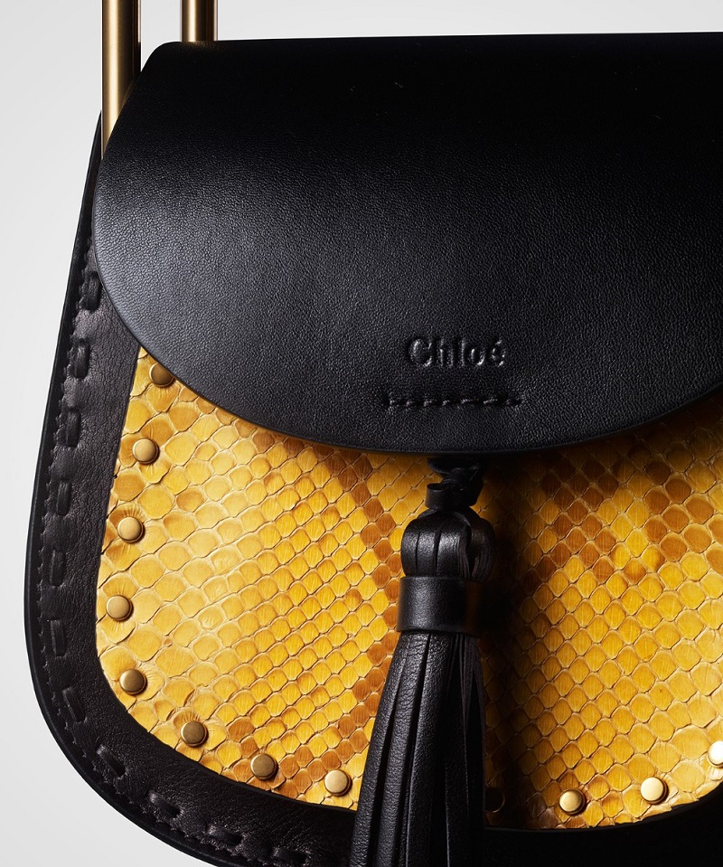 Chloé Hudson mini leather and python cross-body bag
