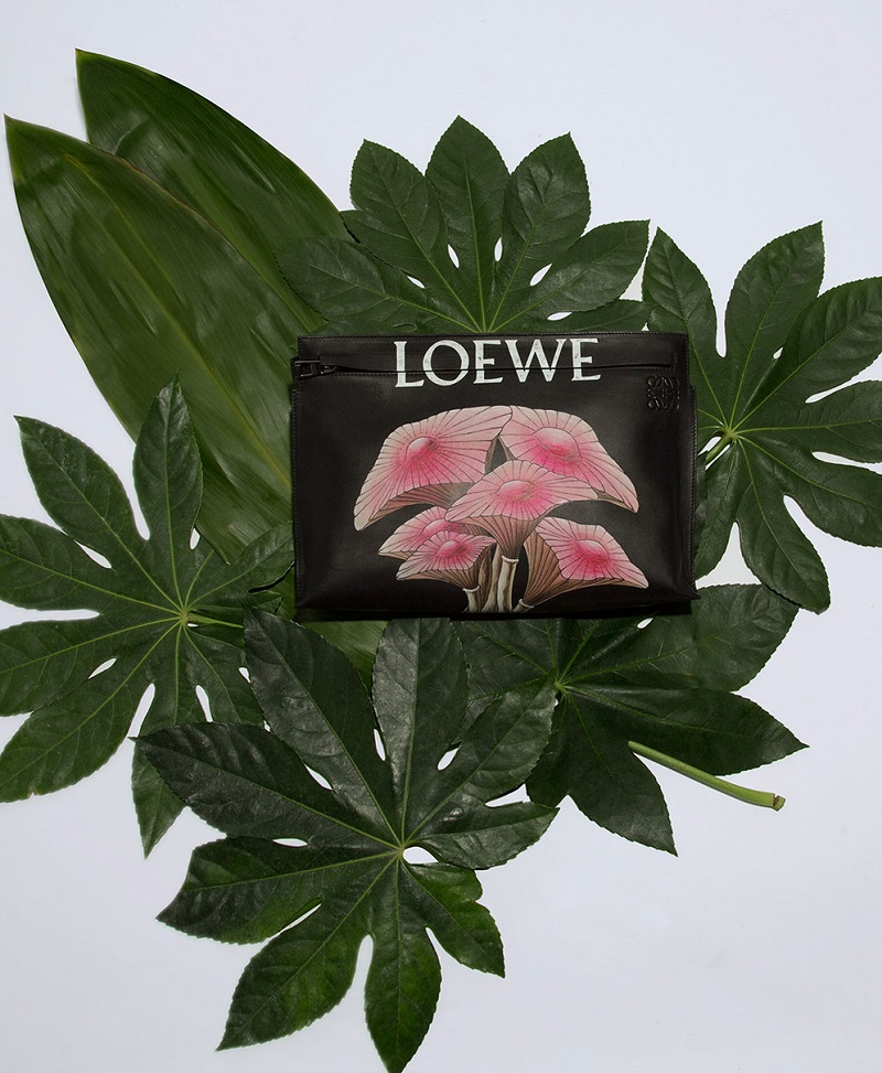 Loewe Mushroom leather T pouch