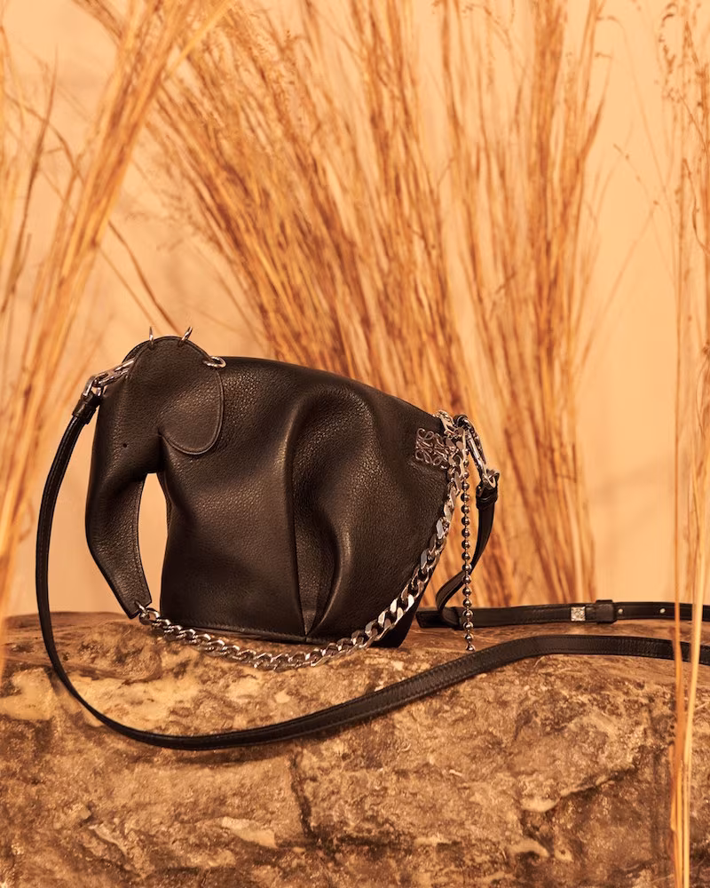 LOEWE Punk Elephant Crossbody Bag