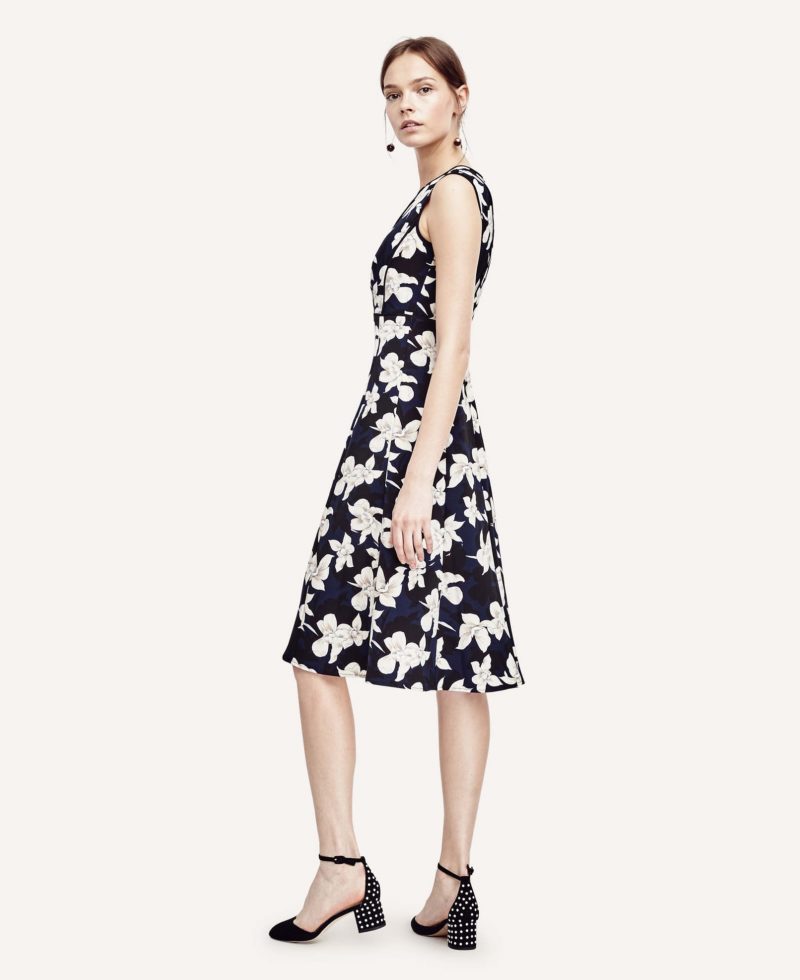 Ann Taylor Garden Blossom Fit And Flare Dress