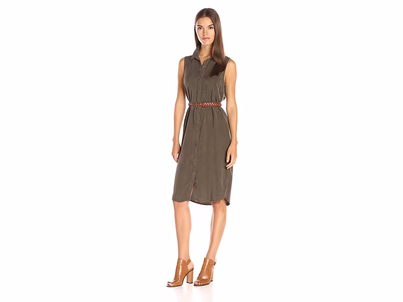 Splendid Wilder Tencel Shirtdress