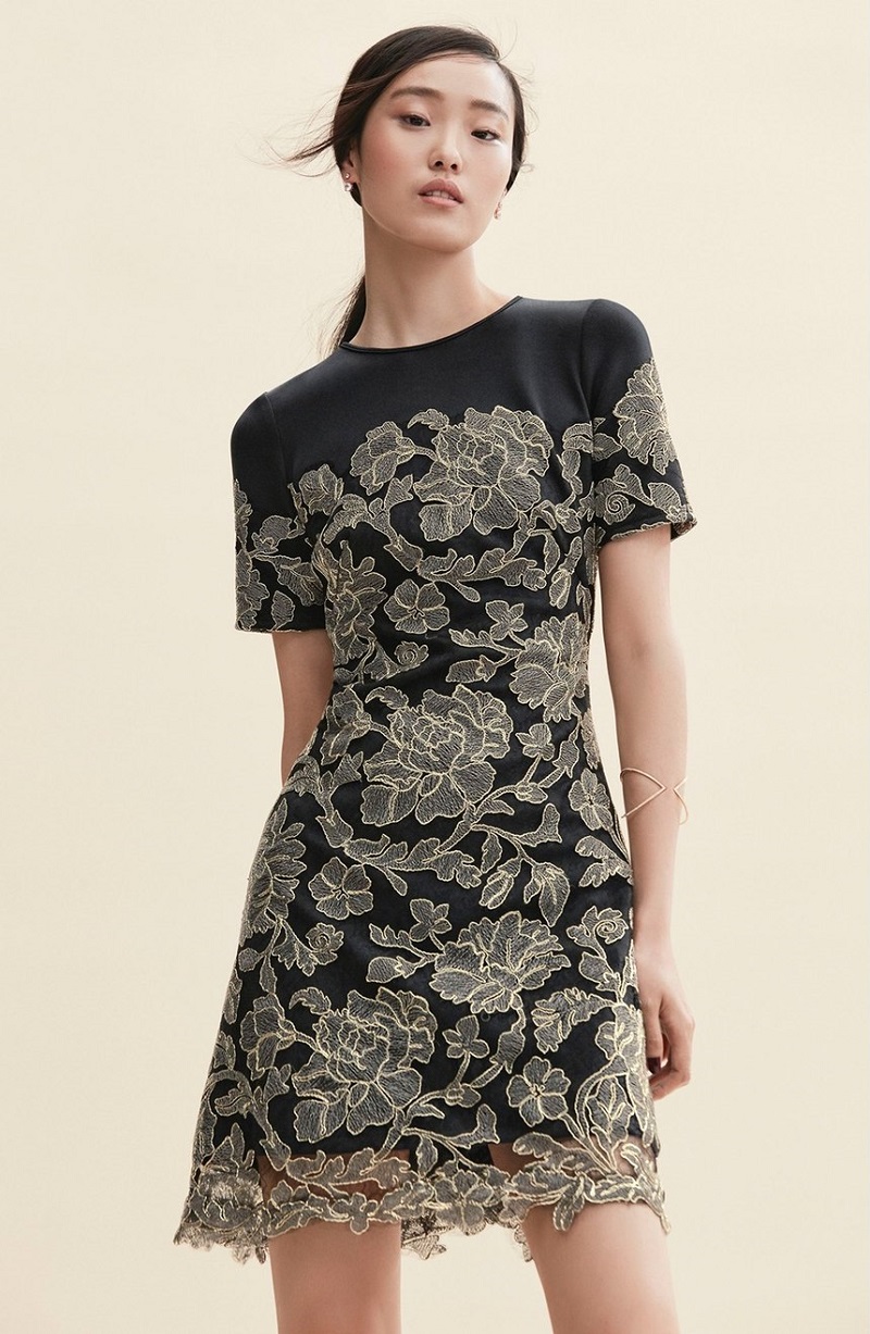 Tadashi Shoji Embroidered Lace Overlay A Line Dress