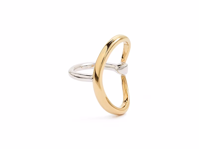 Charlotte Chesnais Turtle Ring