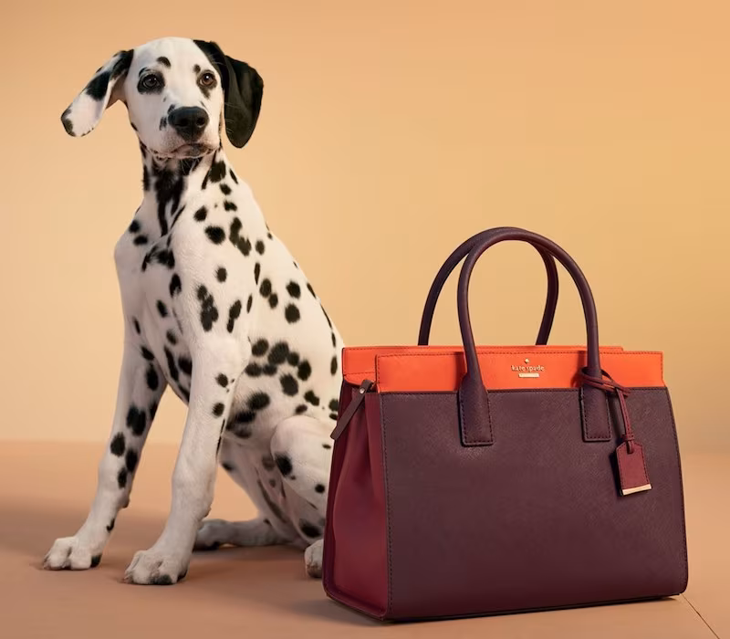 kate spade new york Cameron Street Candace Leather Satchel