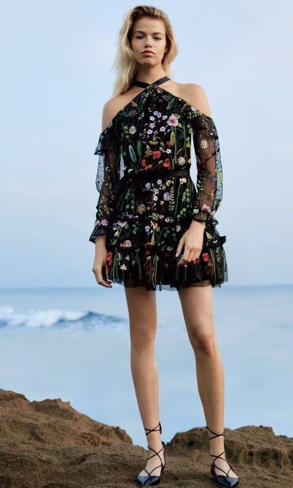 Alexis Adeline Embroidered Ruffle Dress