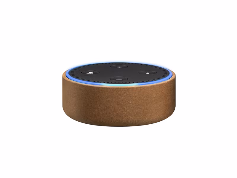 Amazon Echo Dot Case
