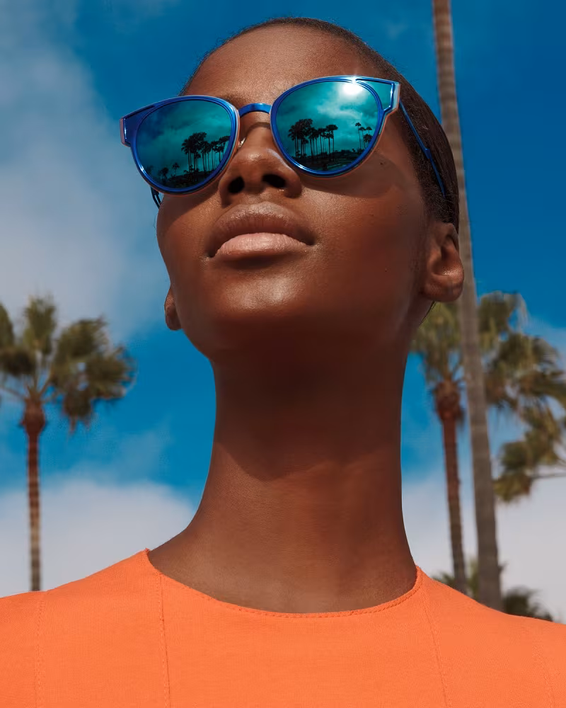 Dior Sculpt Cat-Eye Sunglasses