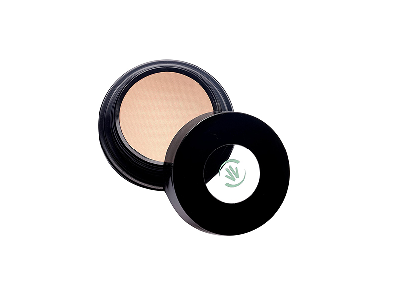 VINCENT LONGO Water Canvas Highlighter