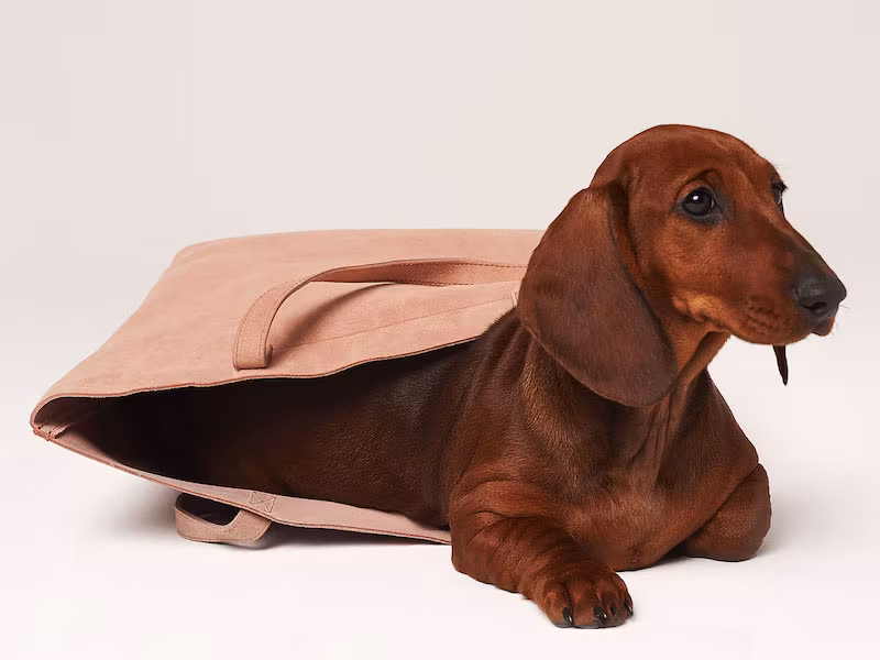 Madewell Suede Transport Tote