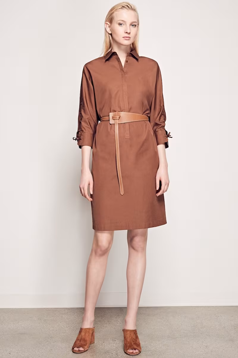Max Mara Osanna Cotton Poplin Dress