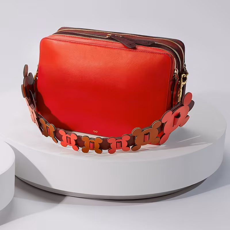 Anya Hindmarch The Stack Leather Cross-Body Bag