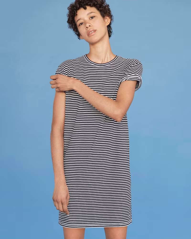 Everlane The Cotton Box-Cut Tee Dress in Mini Stripe