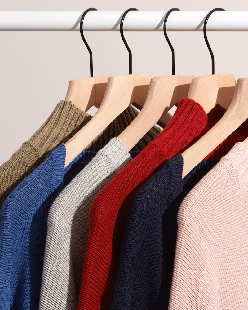 Everlane Cotton Sweaters