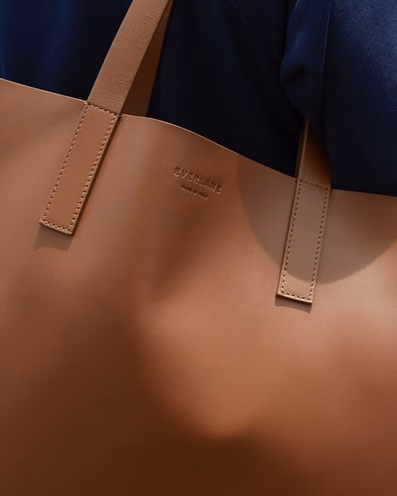 Everlane Day Market Tote in Cognac