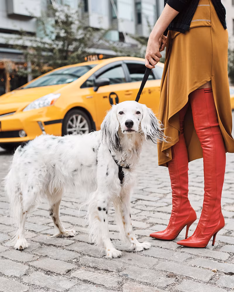 Fendi Leather Over-the-Knee Sock Boot