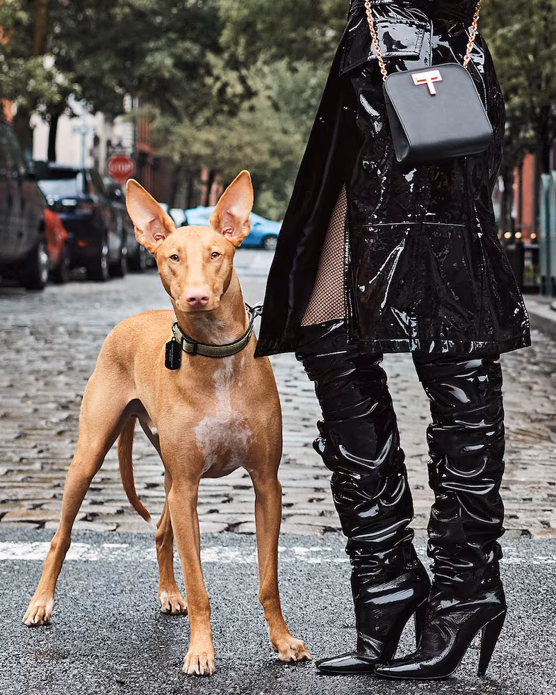 TOM FORD Scrunched Patent 105mm Boot