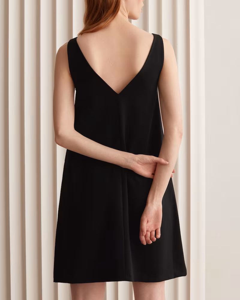 Everlane Deep V-Neck A-Line Dress