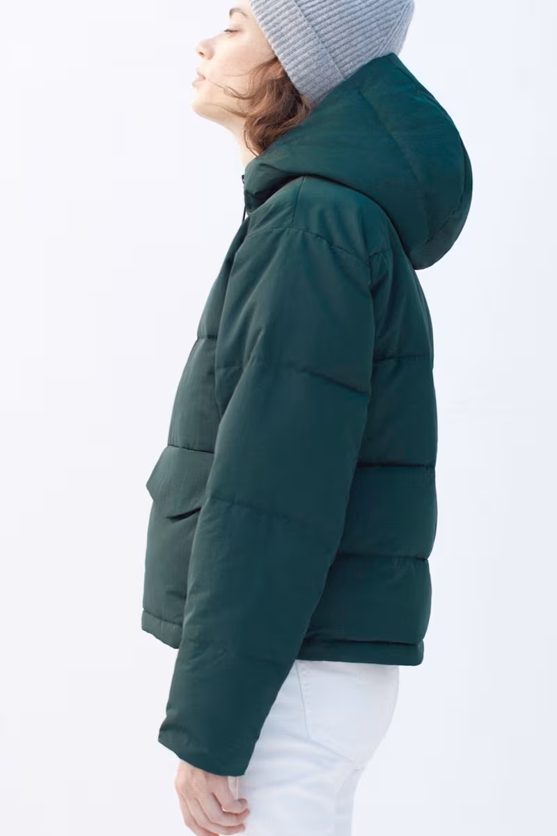 Everlane Short Puffer Jacket
