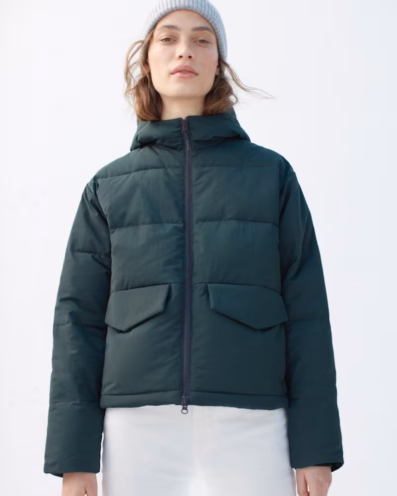 Everlane Short Puffer Jacket