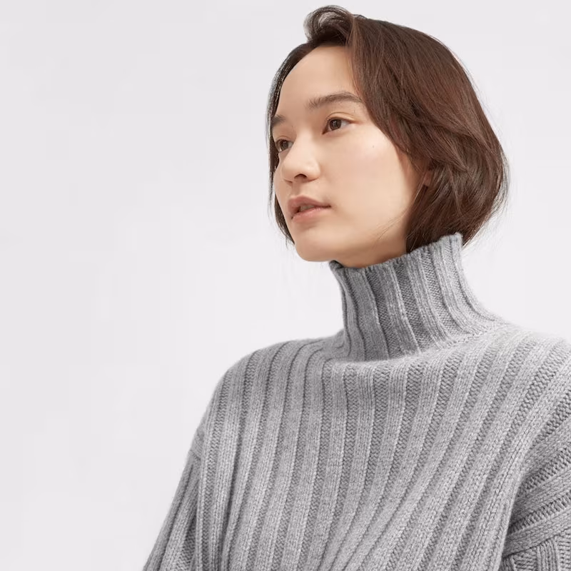 Everlane Wool-Cashmere Rib Oversized Turtleneck