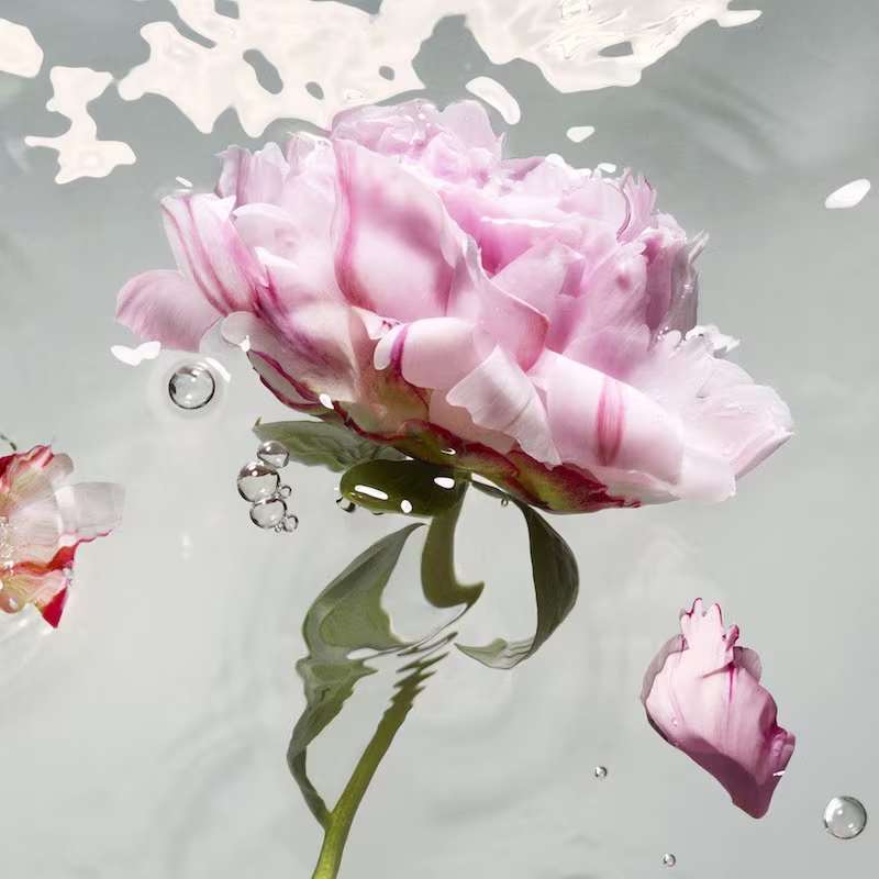 Stella McCartney Peony Eau de Toilette