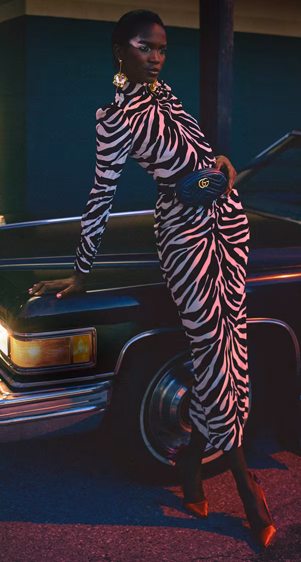 Alessandra Rich Crystal-Embellished Zebra-Print Velvet Gown