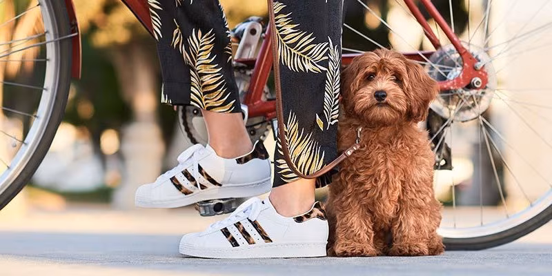 adidas Superstar Leopard Sneaker