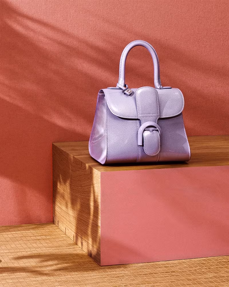 Delvaux Brillant Mini Leather Satchel