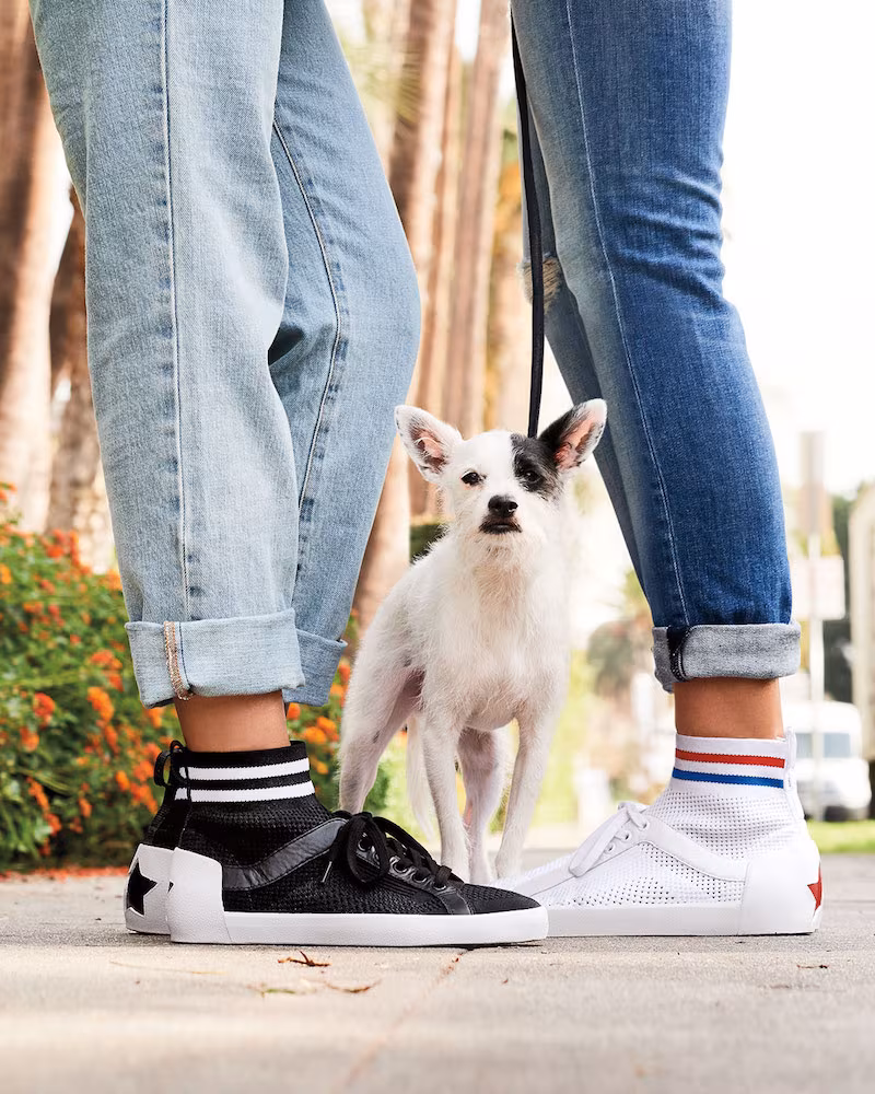 Ash Knit Mesh Lace-Up Sneaker