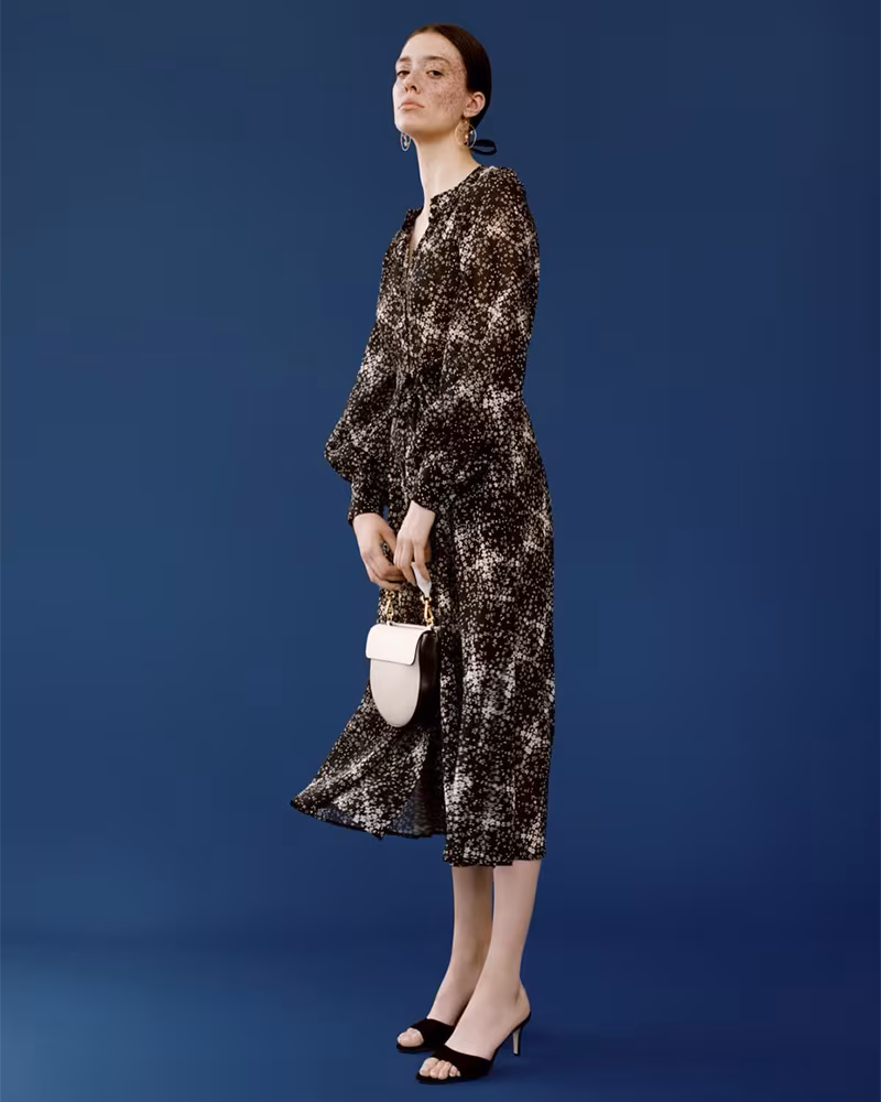 Co Floral Wool Gauze Shirtdress