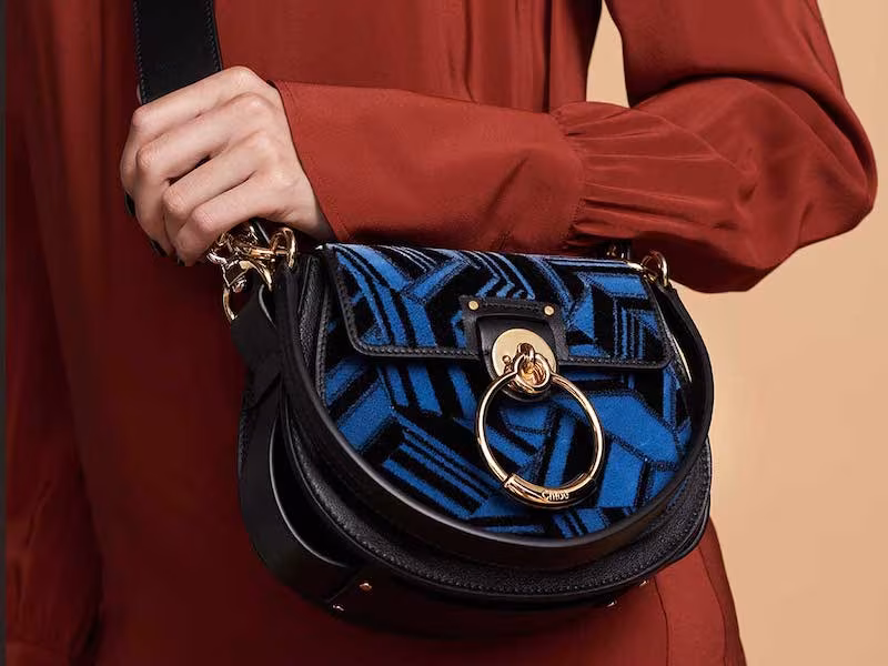 Chloé Tess Small Embroidered Leather Camera Crossbody Bag