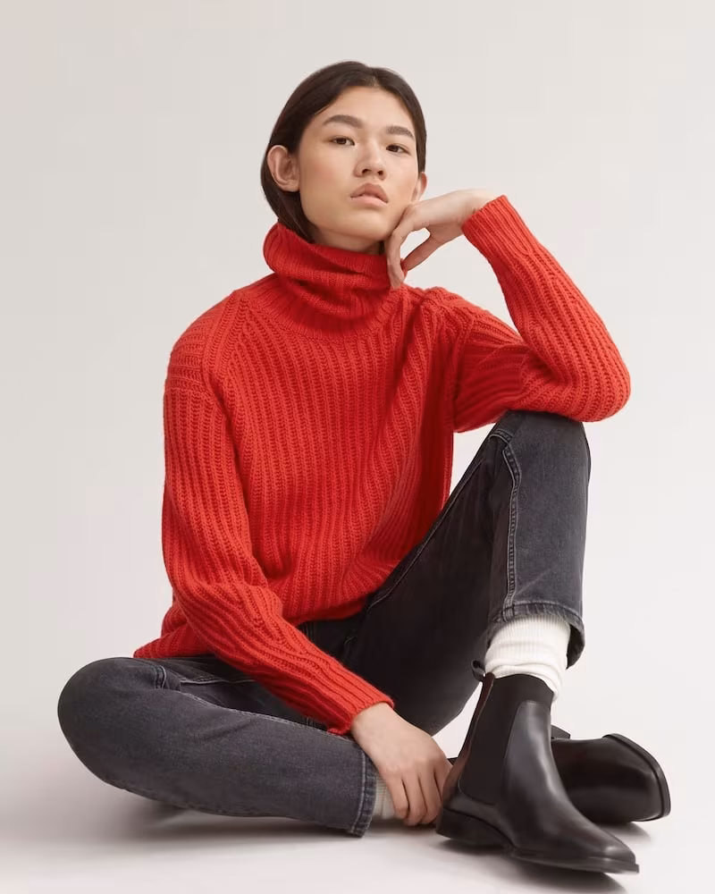 Everlane Soft Wool Rib Turtleneck