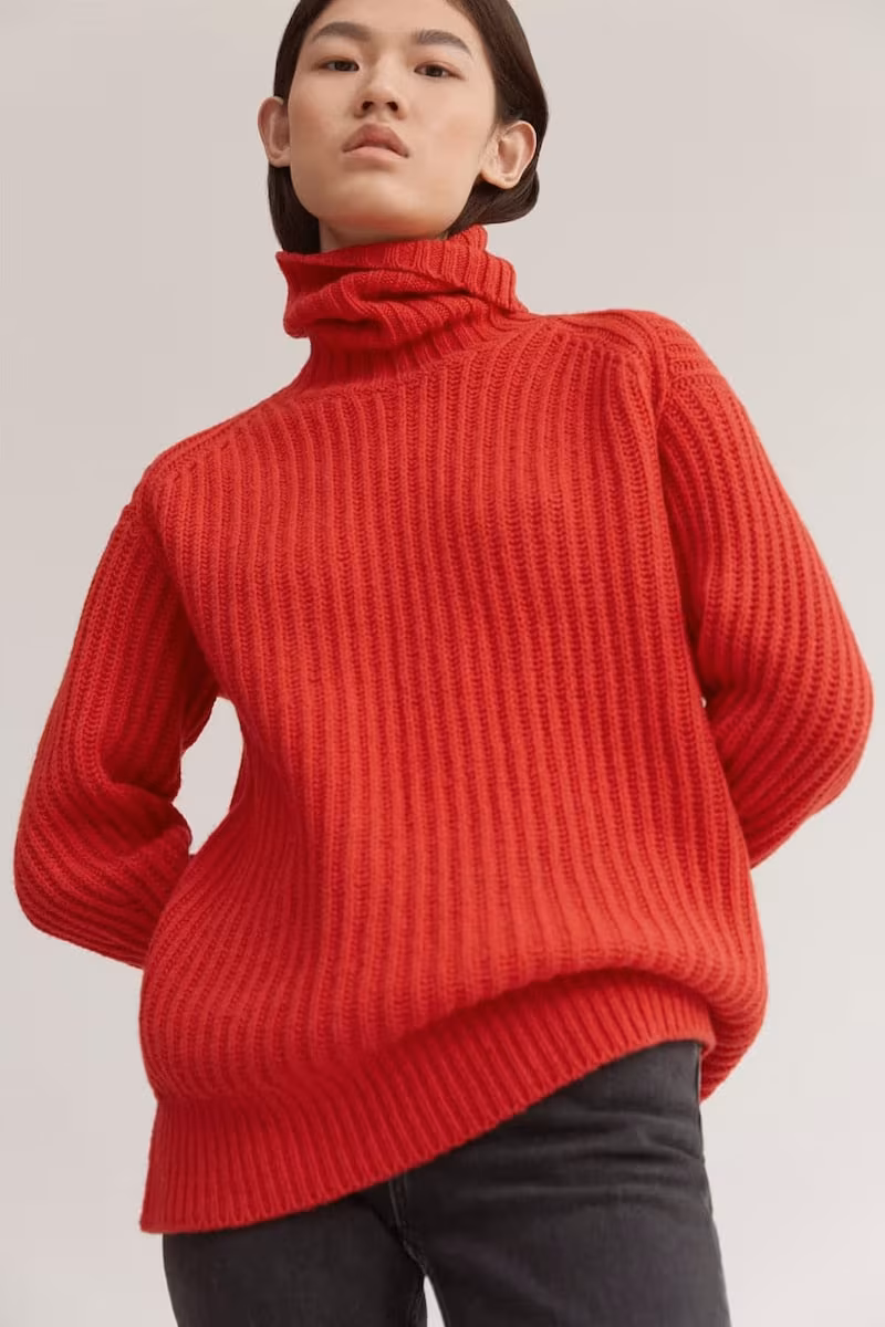 Everlane Soft Wool Rib Turtleneck