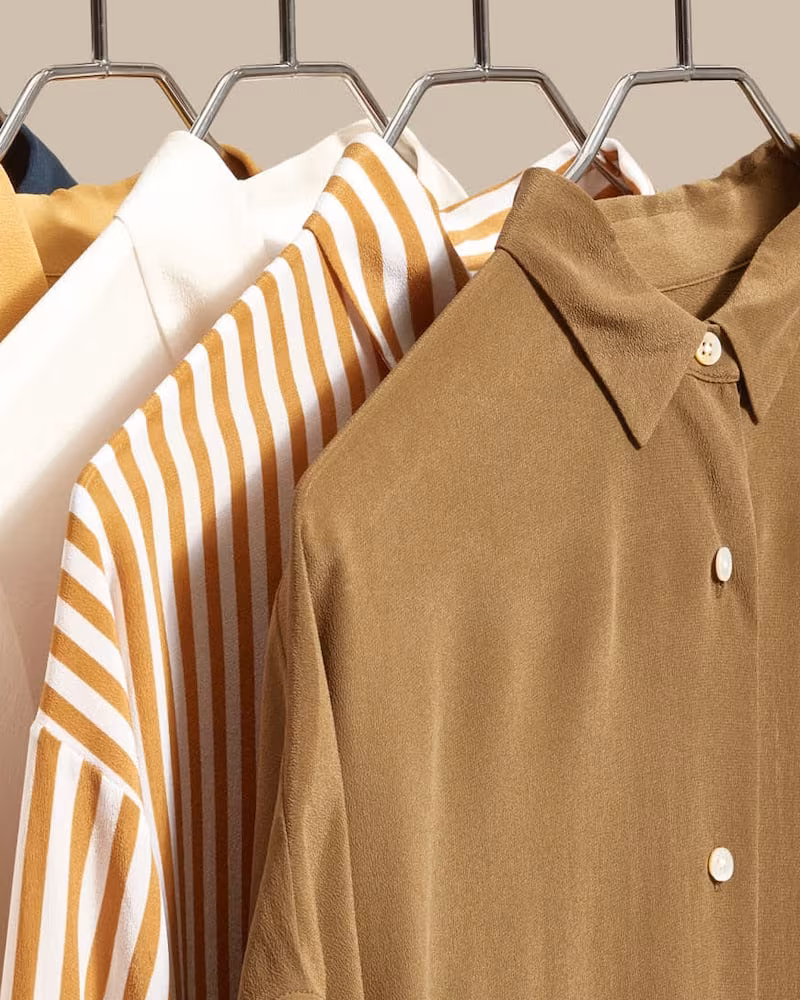 Everlane Clean Silk Relaxed Shirt