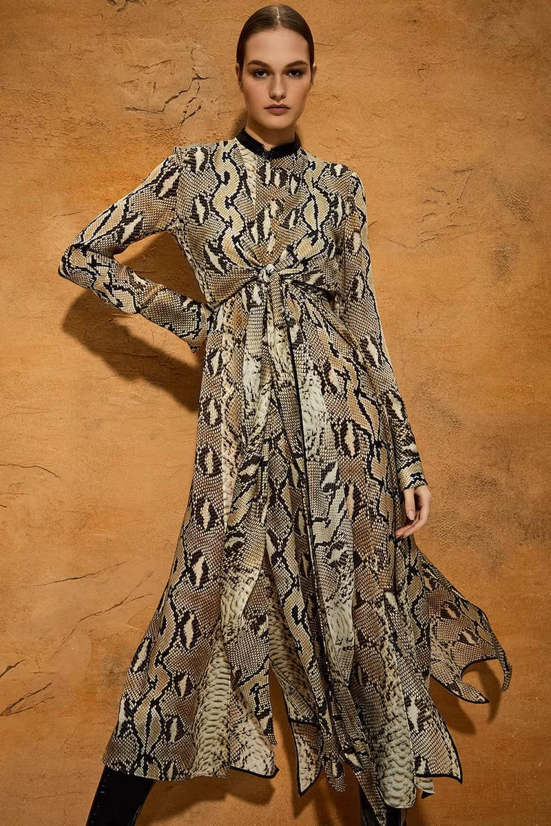 Petar Petrov Delhi Leather-Trimmed Snake-Print Silk-Chiffon Maxi Dress