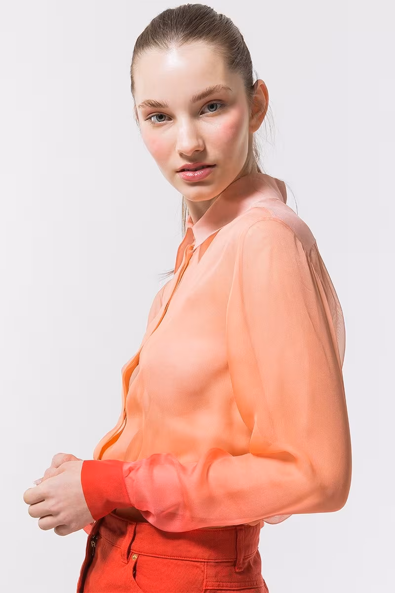 Alberta Ferretti Degradè Sheer Silk Crepe Shirt in Pink