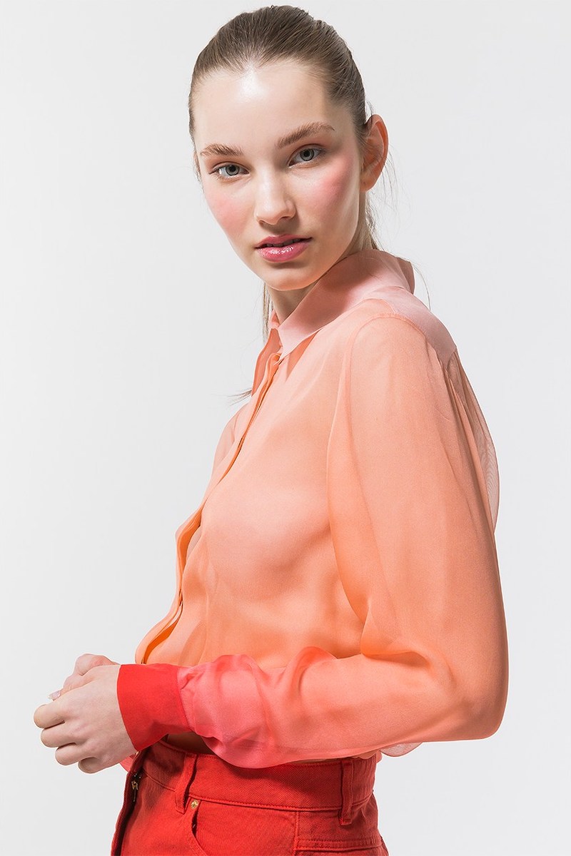 Alberta Ferretti Degradè Sheer Silk Crepe Shirt in Pink