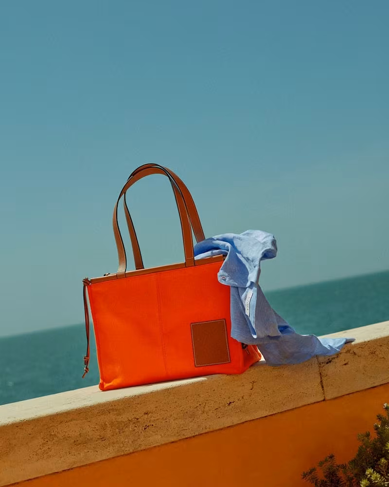 Loewe Bag