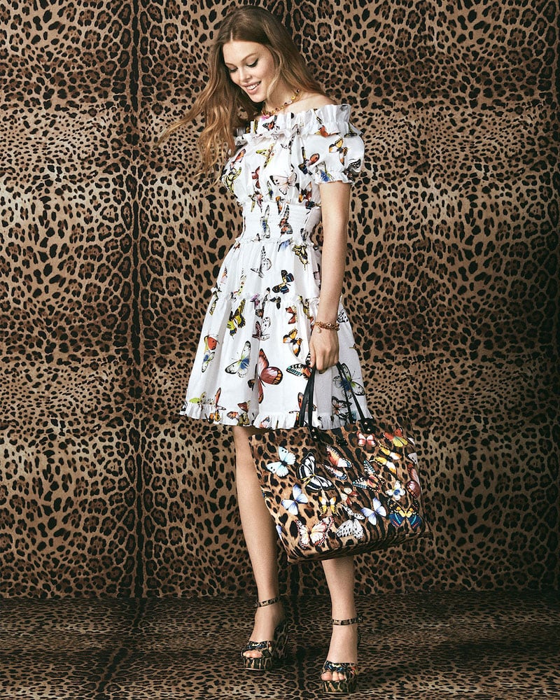 Dolce & Gabbana Off-the-Shoulder Butterfly-Print Poplin Dress