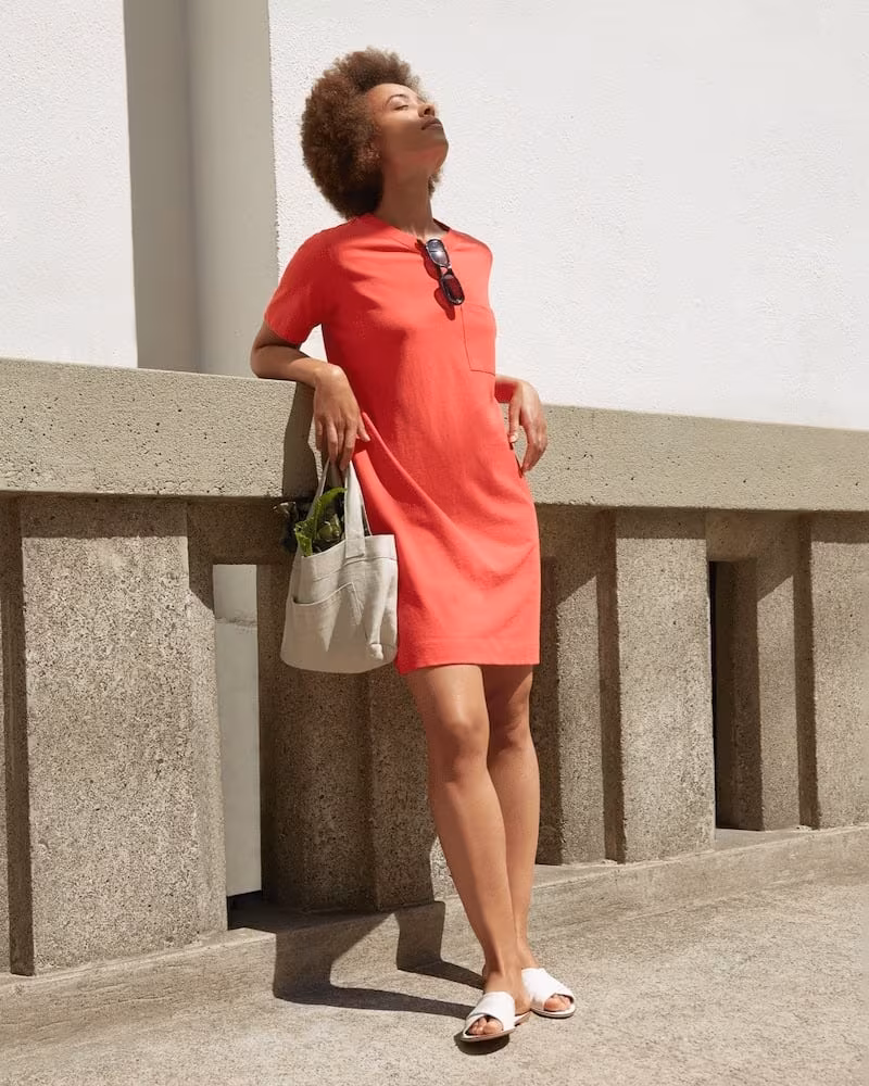 Everlane Weekend Tee Dress