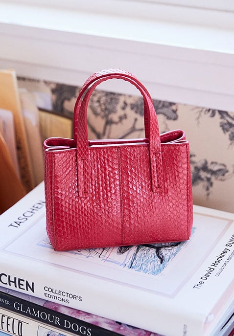 Tibi Le Client Chain Ayers Water Snake Mini Bag