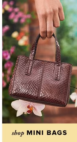 Shop Mini Bags
