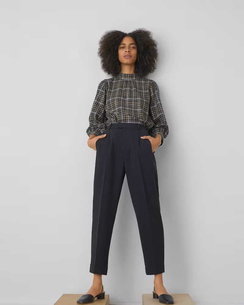 Everlane Put-Together Pleat Pant