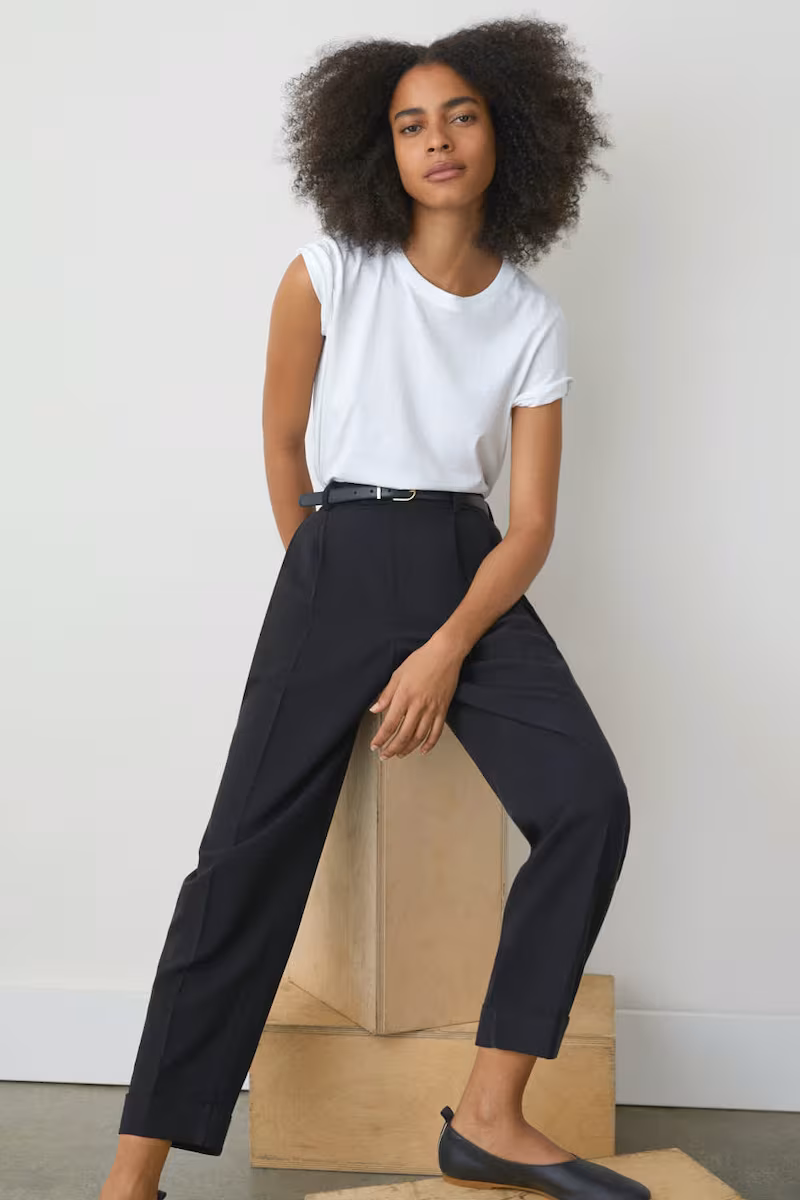 Everlane Put-Together Pleat Pant 1