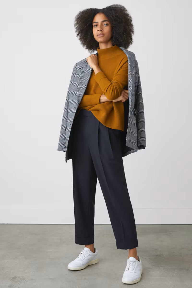 Everlane Put-Together Pleat Pant 2