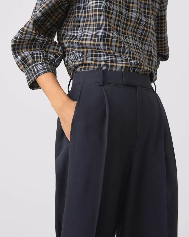 Everlane Put-Together Pleat Pant 3