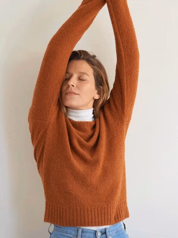 Everlane Teddy Crew Neck Sweater