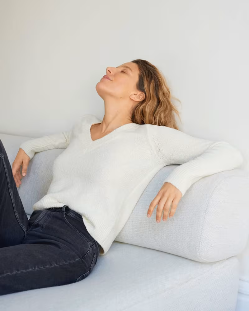 Everlane Teddy V-Neck Sweater