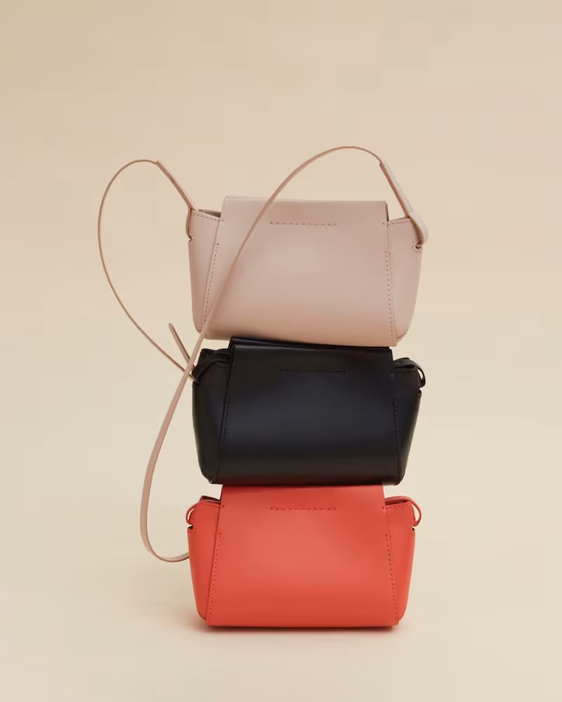 Everlane Micro Form Bag